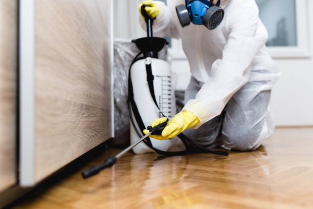 Best Best Pest Control Companies  in Markham, IL