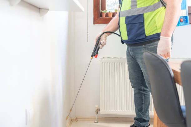 Best Wasp Removal Services  in Markham, IL