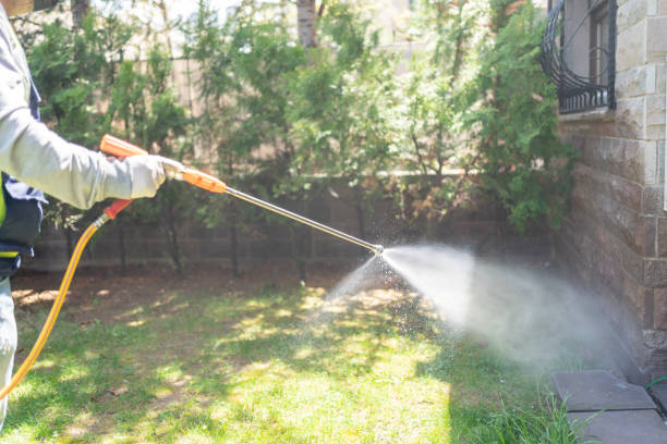 Best Wasp Removal Services  in Markham, IL